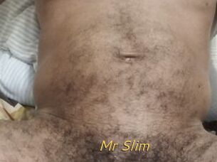 Mr_Slim