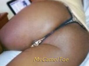 MsCamelToe