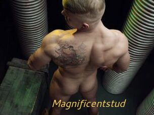 Magnificentstud