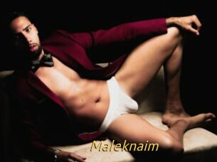 Maleknaim