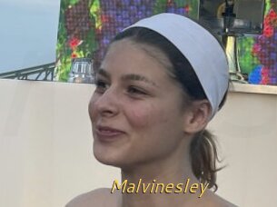 Malvinesley