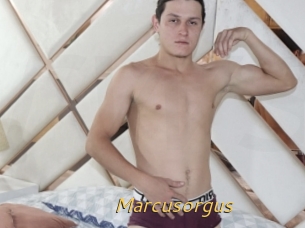 Marcusorgus