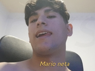 Mario_neta