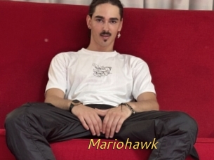 Mariohawk