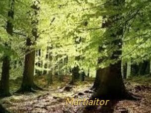 Martiaitor