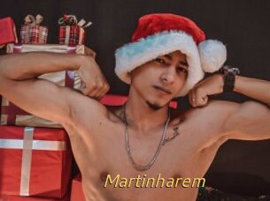 Martinharem