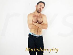 Martinhornybig