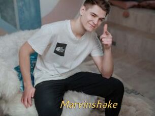 Marvinshake