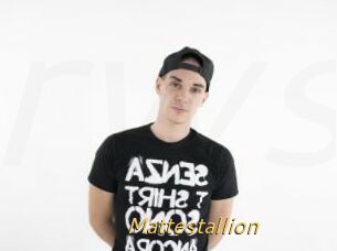 Mattestallion