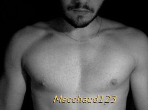 Mecchaud123