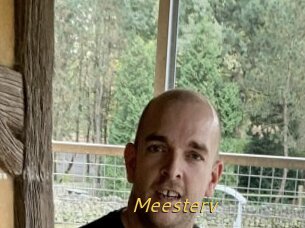 Meesterv