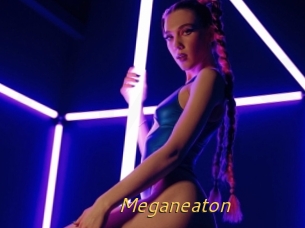 Meganeaton