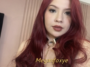 Meganfoxye