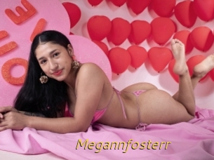 Megannfosterr