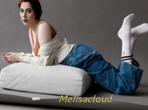 Melisacloud