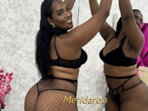 Meridaroa