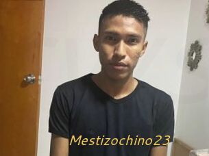 Mestizochino23
