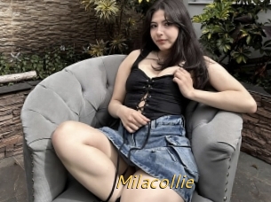 Milacollie