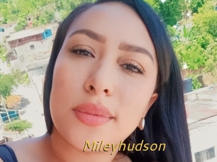 Mileyhudson