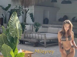 Mileyrey