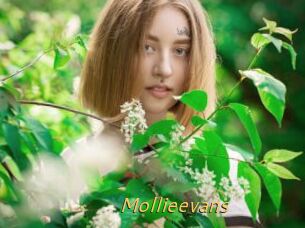 Mollieevans