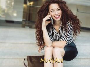 Mollykat
