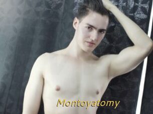 Montoyatomy