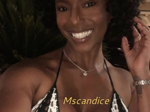 Mscandice