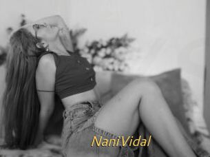 NaniVidal