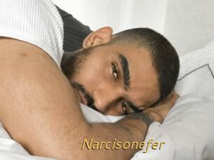 Narcisonefer