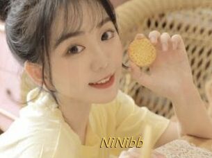NiNibb