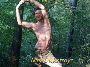 NinjaDickstroyr