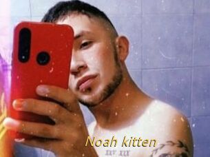 Noah_kitten
