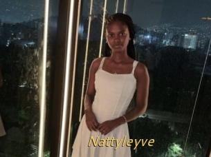 Nattyleyve
