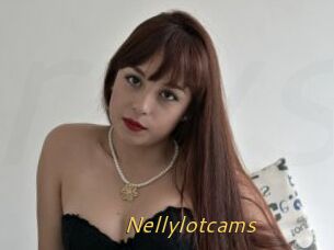 Nellylotcams