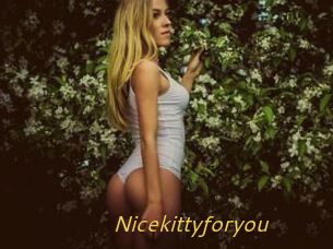Nicekittyforyou