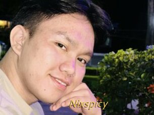 Nixspicy