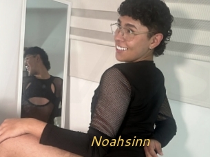 Noahsinn