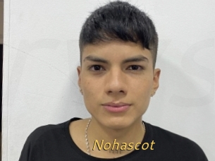 Nohascot