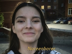 Noreenborer