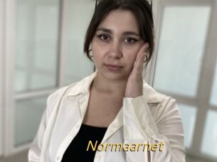 Normaarnet