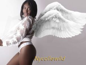 Nycollewild