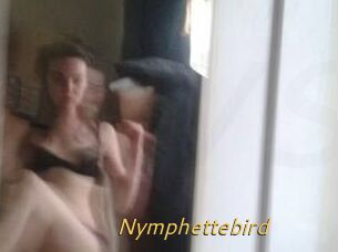 Nymphettebird