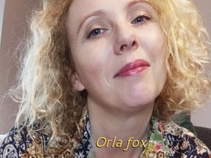 Orla_fox