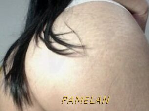 PAMELA_N