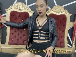 PAMELA_NOLIMITS
