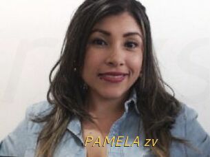 PAMELA_zv
