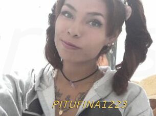 PITUFINA1223