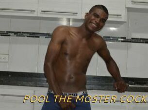 POOL_THE_MOSTER_COCK