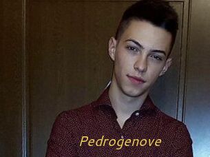 Pedrogenove